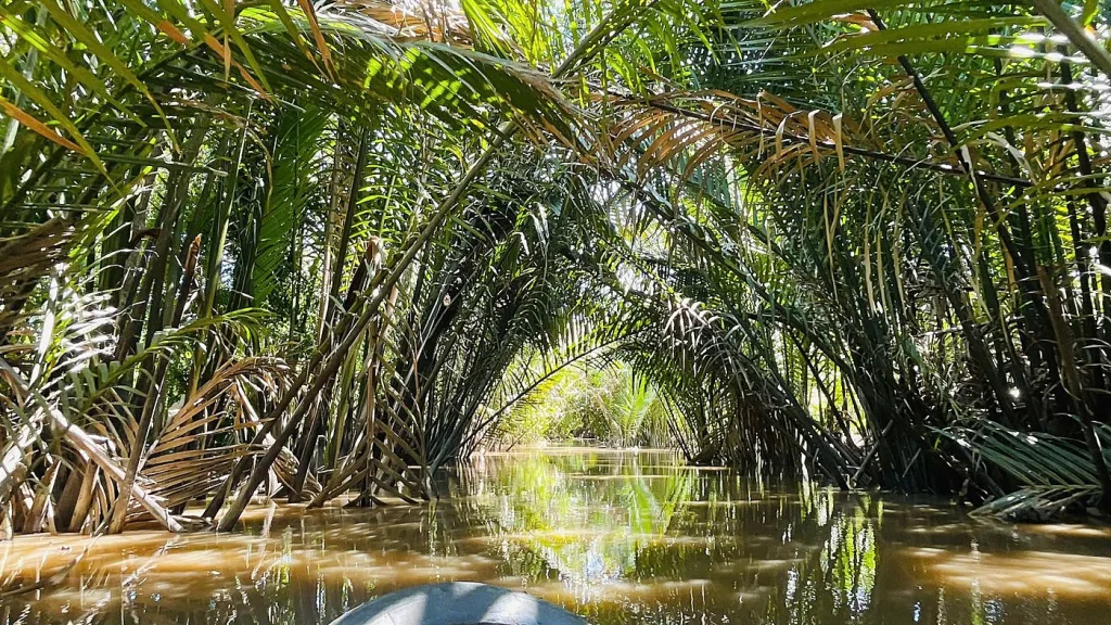 Private Mekong Delta My Tho – Ben Tre Tour photo 3